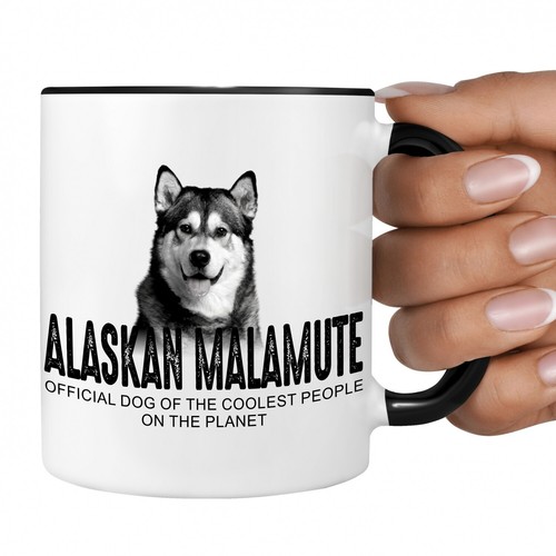 Alaskan malamute mally hund - alaskan,