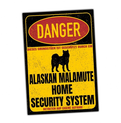 Alaskan malamute mally dog - mally,