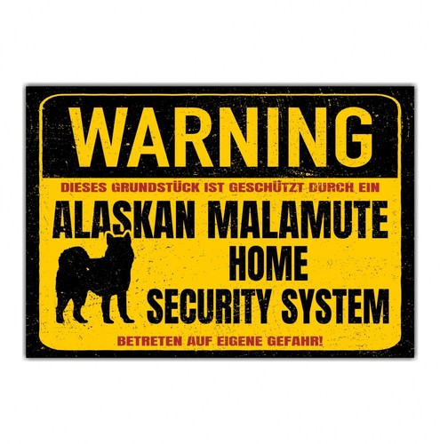 Alaskan malamute mally - alaskan, dog